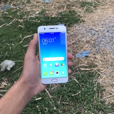 Official dual approved