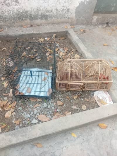 strong birds cages for sale/Mazboot pinjray