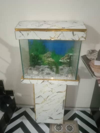 Fish Aquarium