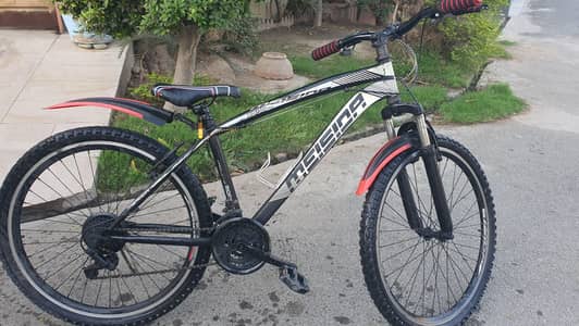 Meisina X690 Bicycle (Product of Morgan)