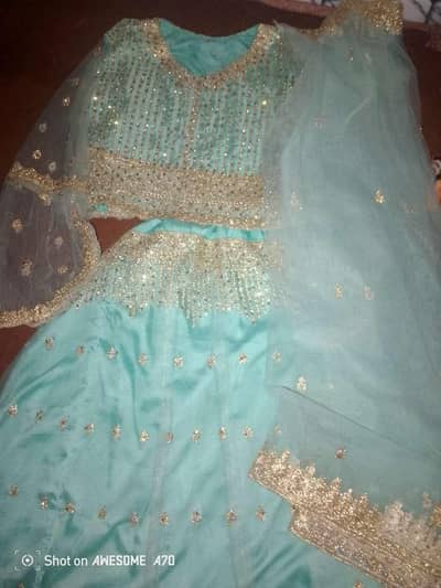 Beautiful Shiny Net Lehenga – Party Wear