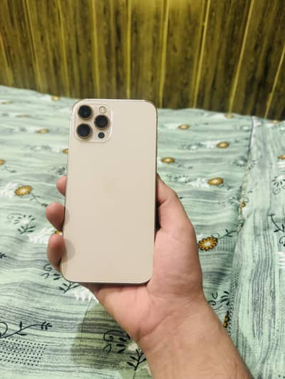 12 pro max pta approved