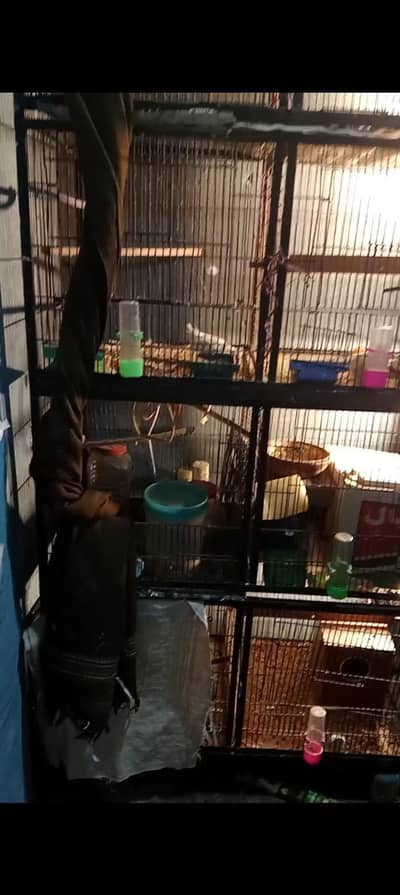 Birds Cage For Sale 8 Portions