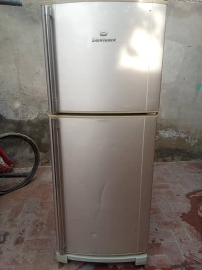 dawlence medium size