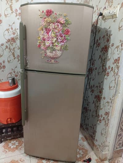 Hair Refrigerator Fridge . Lush Condition