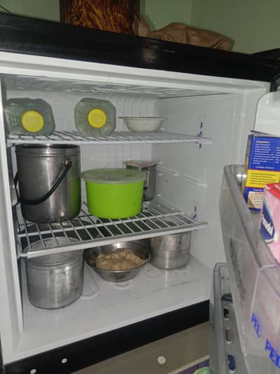 Pel 2200 modal 3mounth usad