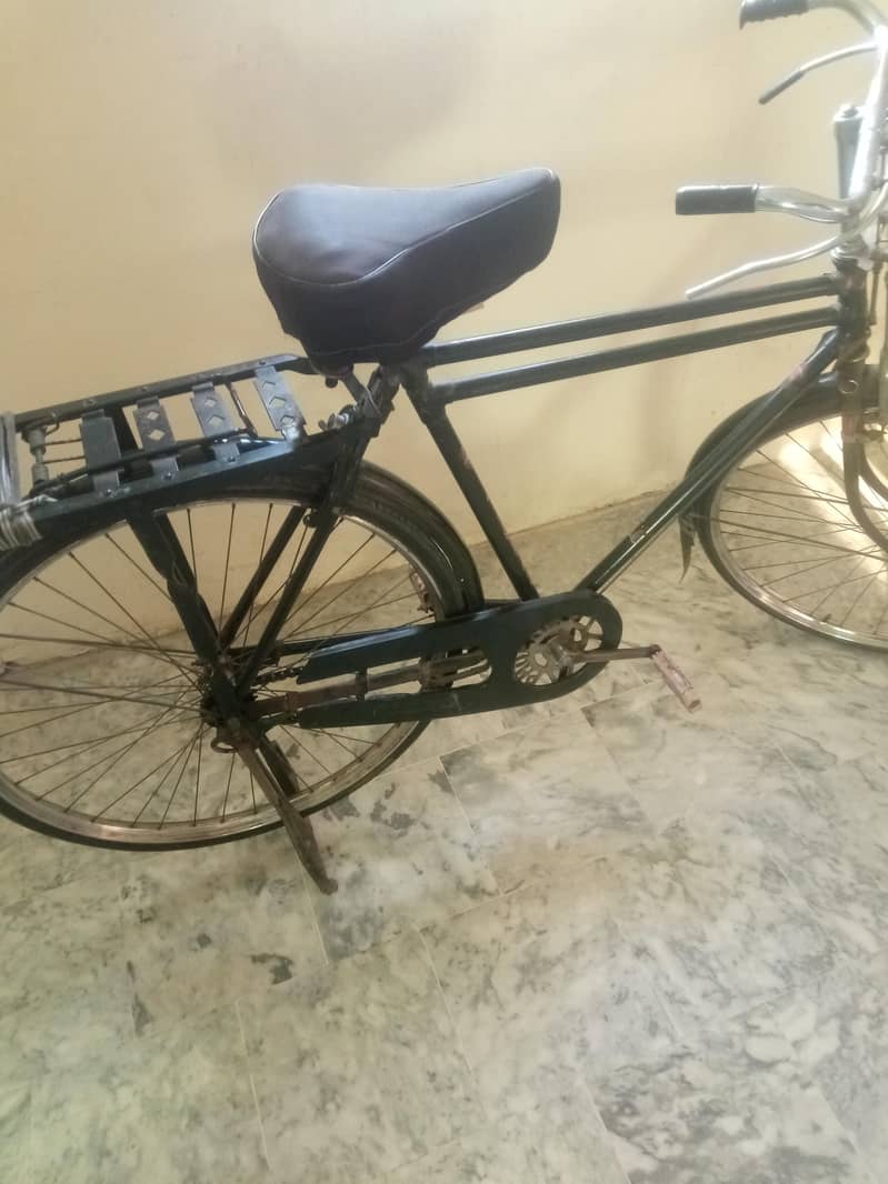 sohrab cycle 5