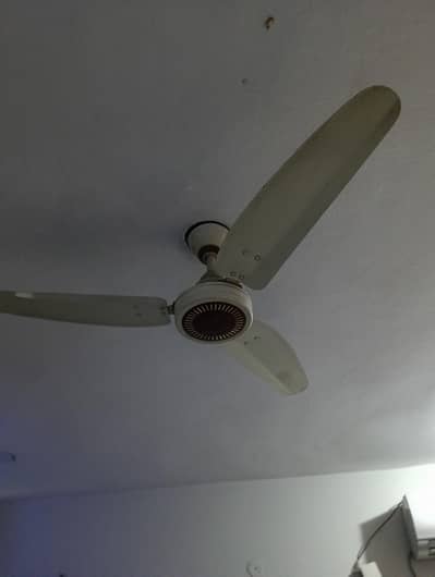 Royal Fans for sale with life time warranty