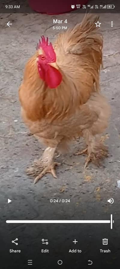 hhhhhhhhhgghgghggggggggggg