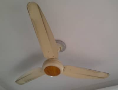 GFC  56 inch Fans for sale