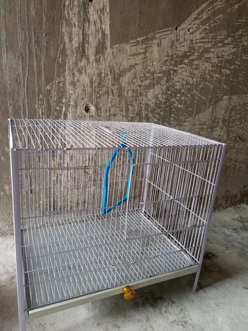 parrut cage