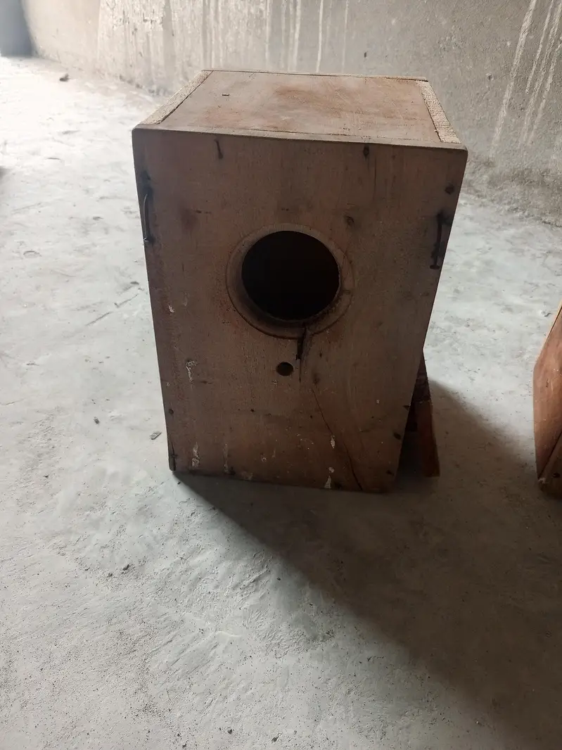 parrut cage — photo 3