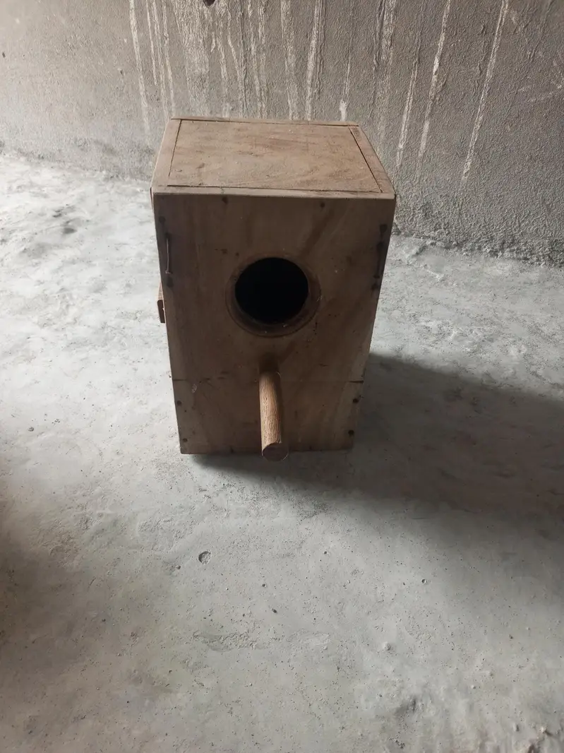 parrut cage — photo 4