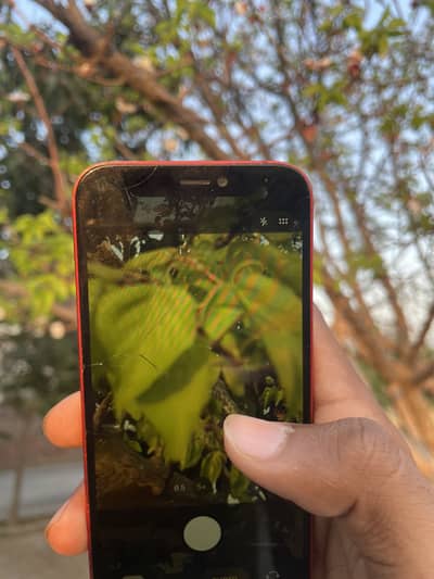 iPhone 12 mini 128gb non pta factory unlock FIX PRICE