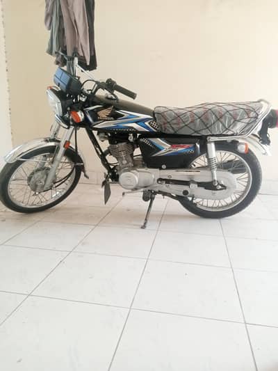 lush condition pakka 2025