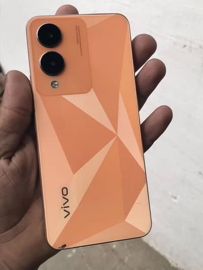 Vivo Y17s 6/128 read add