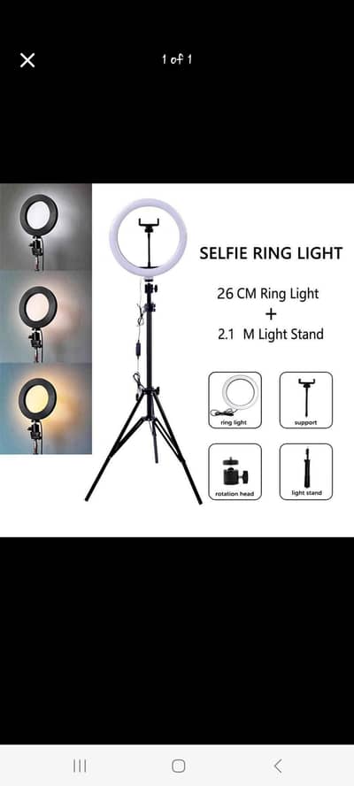 Tiktok stand import colity