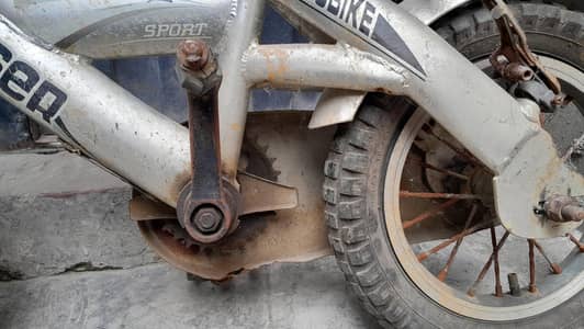 Cruiser company cycle