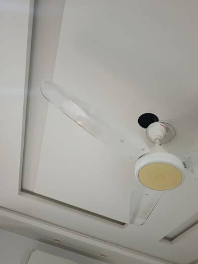 1 Kanal Upper Portion For Rent In Wapda Town Phase 1 Lahore