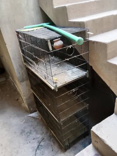 i am salling 3 poshion pariets pangra