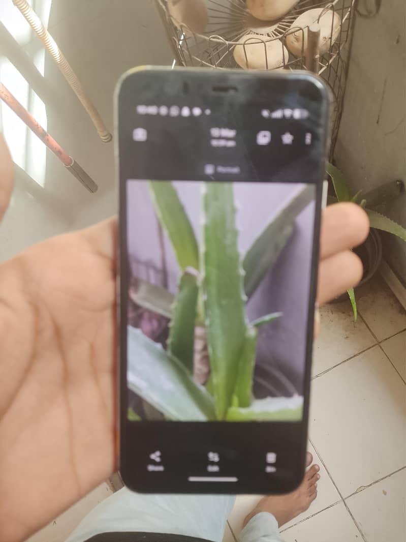 good pixel 4 Android version 16 8