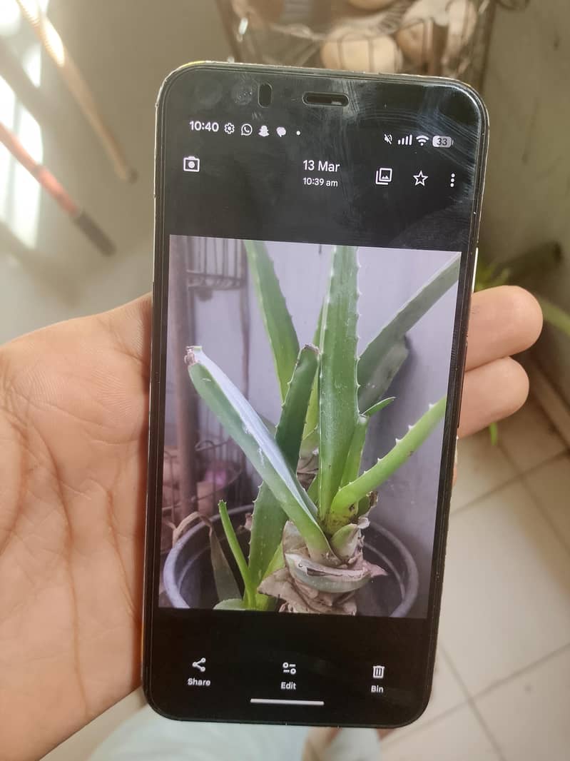 good pixel 4 Android version 16 9