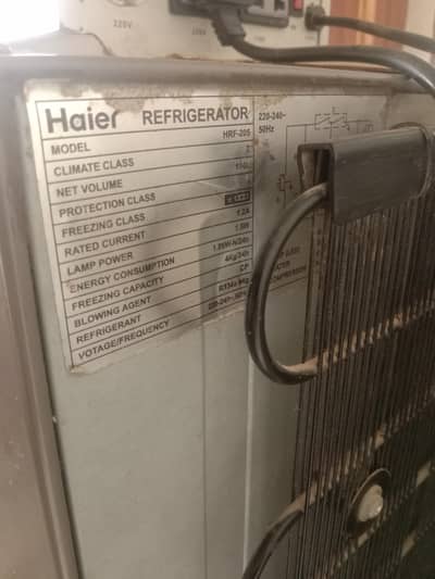 hair medium size fridge for sale