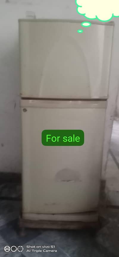 a1 candshan arjant  sa