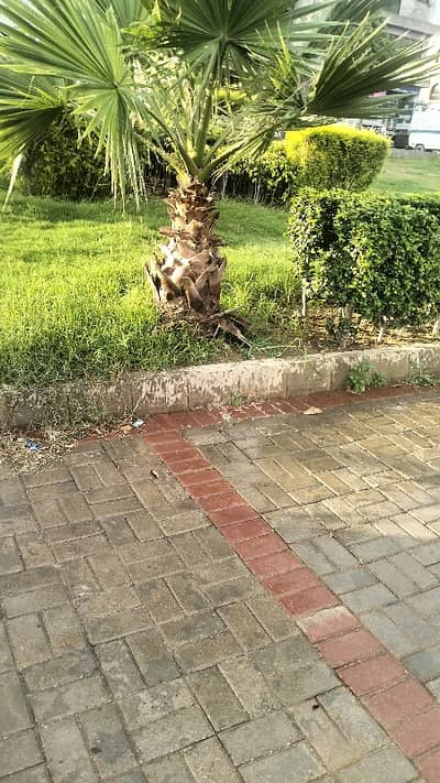 Top City 1 Block G . 5 Marlah Good Location Plot Available Investor Price.   400.500. 600Series. .