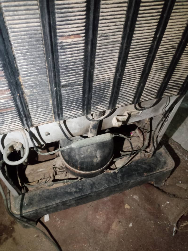 Dawlance Medium Size 8