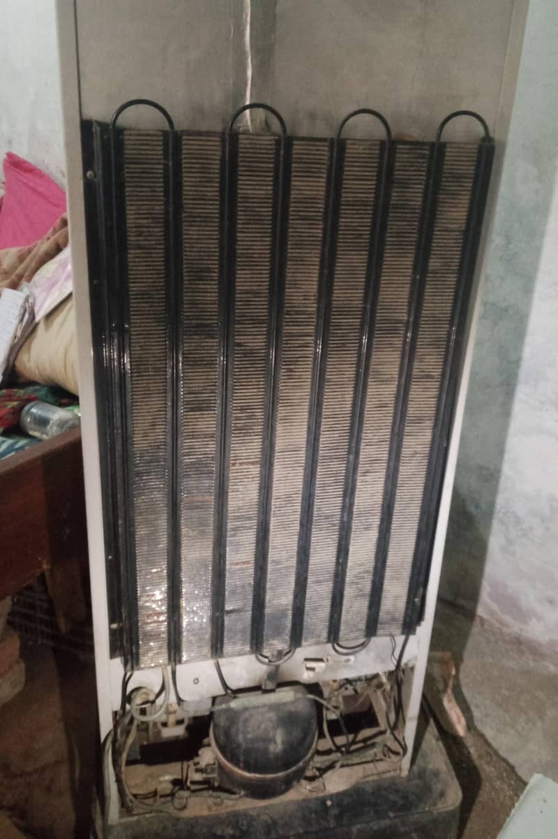 Dawlance Medium Size 10