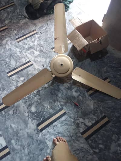 new fan 56 size