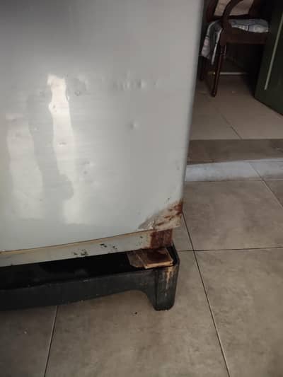 PEL Refrigerator Medium Size – Home Use Fridge