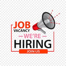 ONline Job For Females