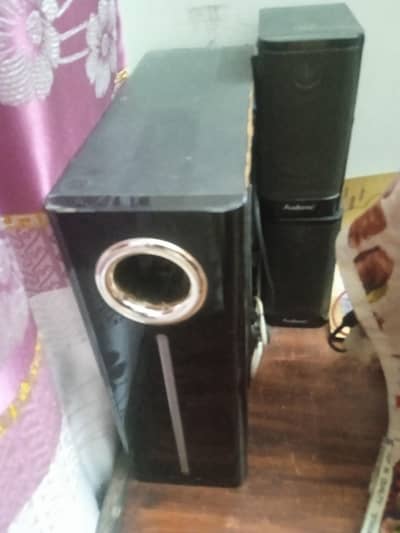 Audionic speakers with woofer