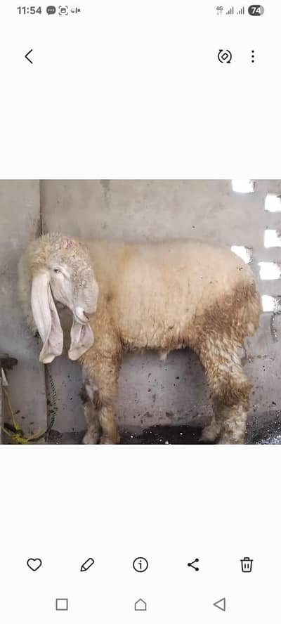 3 chtrye hain 3no ki price alag alag hai.