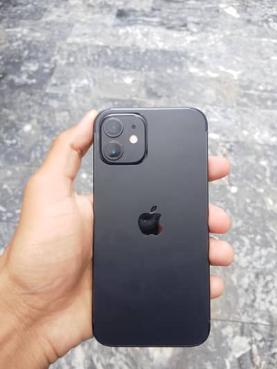 i phone 12 Non pta