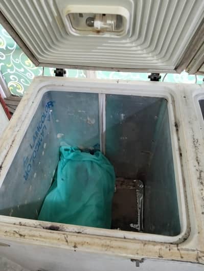 double door freezer for sale