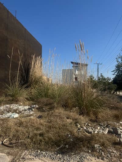 Residential Plot For Sale In Zamar Valley