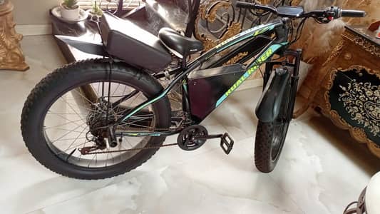 Electric bicycle