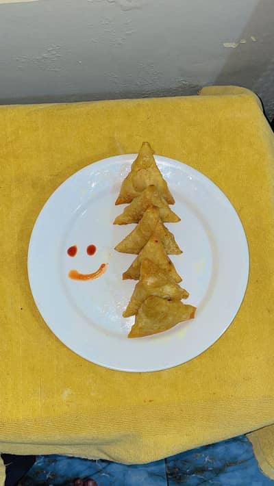 Homemade Tasty protein rich SAMOSi