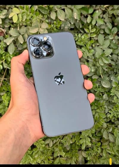 I phone 13 pro max  dameg kise k pas haa to msg kro muja