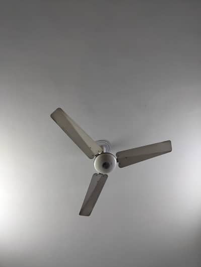 Ceiling Fan All Working Condition