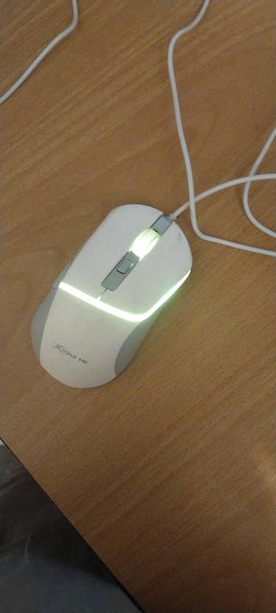 Gaming mouse (wired)