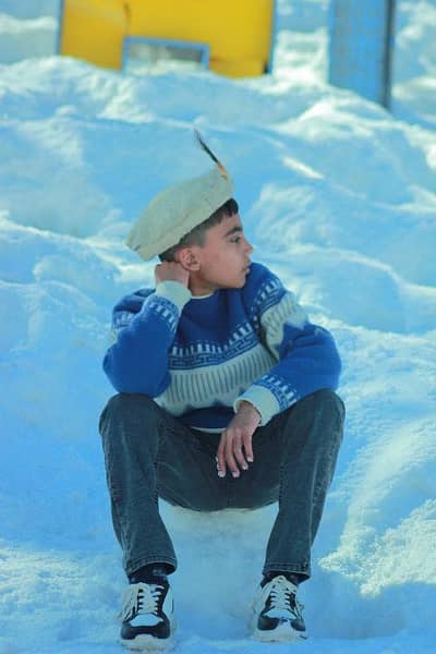 Al nafay brand phoniex