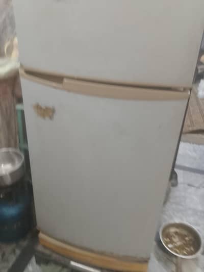 fridge medium size