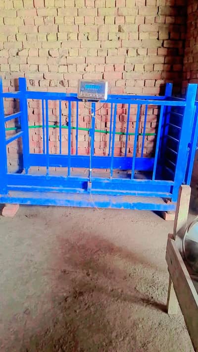 animal weight machine