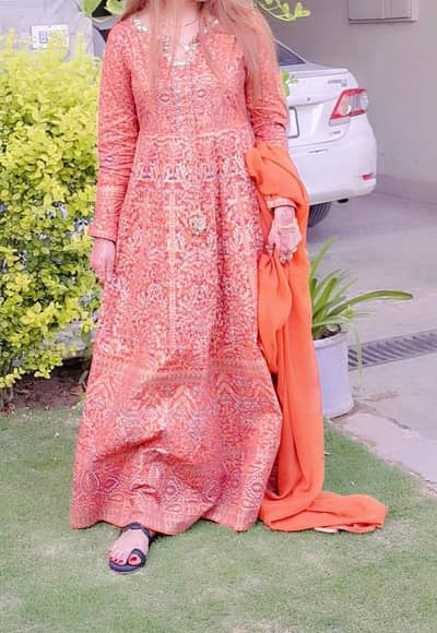 maxi limelight for sale