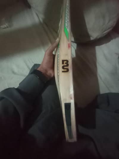 BS original bat