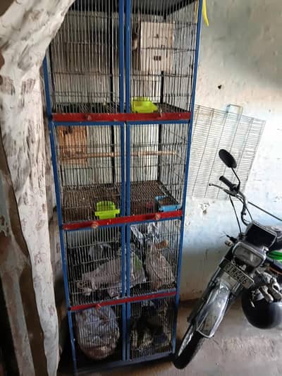 cage for sale